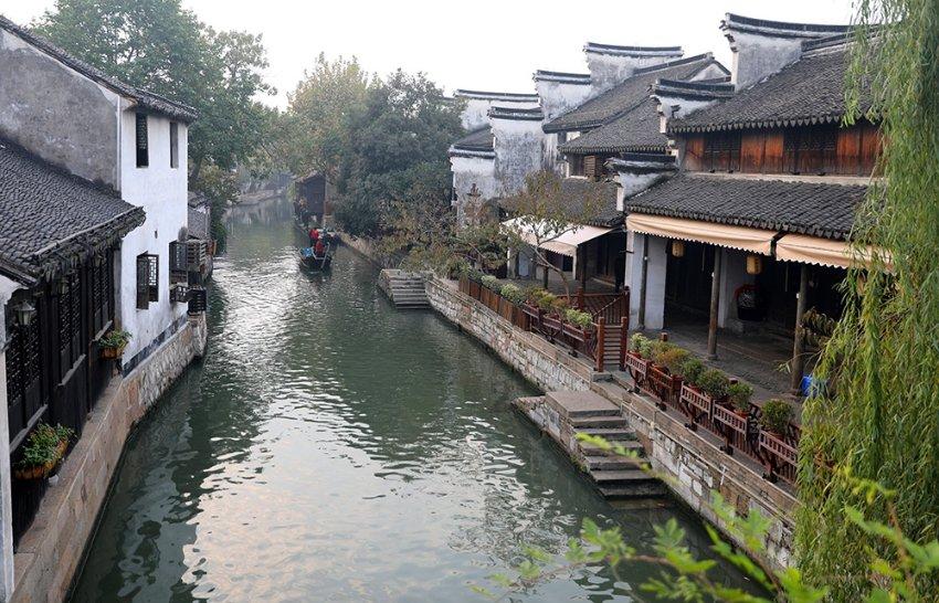 怎么才能除去家里的跳蚤？游戏画面